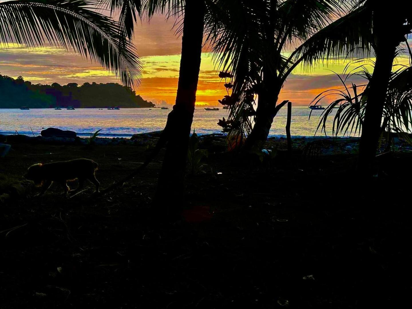 Beach House Drake Bay Luaran gambar