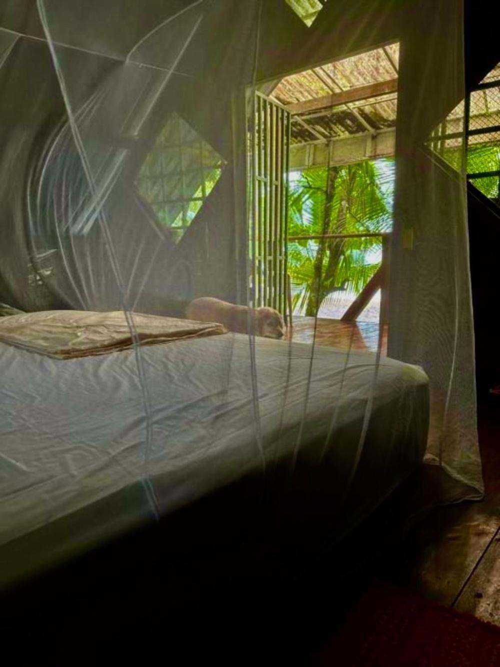 Beach House Drake Bay Luaran gambar